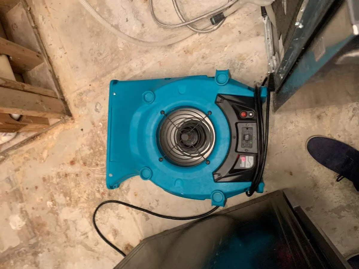Air mover drying equipment for Mold Remediation & Removal in O'Hara