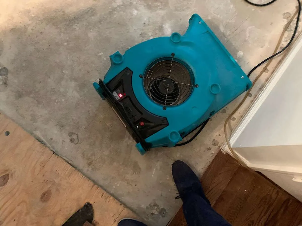 Air mover drying subfloor during Commercial Water Damage Restoration in O'Hara